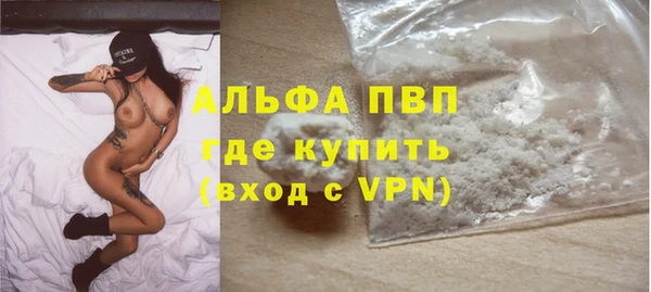 прущие грибы Козловка