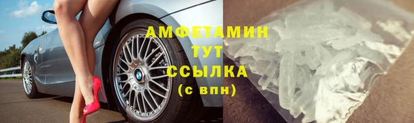 прущие грибы Козловка