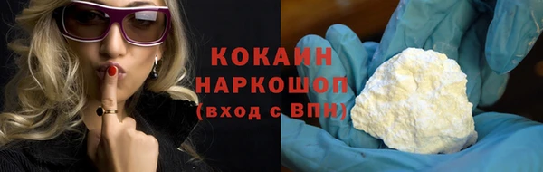 прущие грибы Козловка