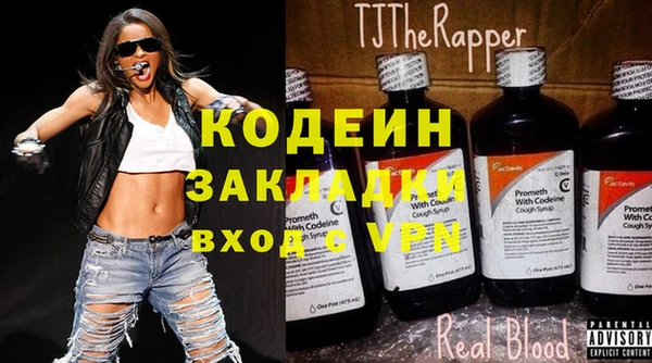 прущие грибы Козловка