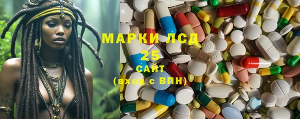 прущие грибы Козловка
