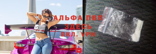 эйфоретик Няндома